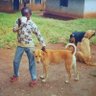 Hillary Orinde's profile picture