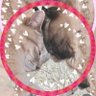 naminami profil fotoğrafı