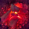 炭火焼きの軍鶏㌠'s profile picture