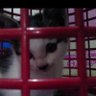ゆま profil fotoğrafı