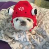 リカです( ̄^ ̄)ゞ's profile picture