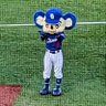もも🐨🐉💙竜党's profile picture