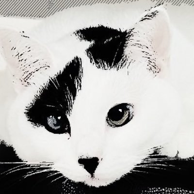 睦月's profile picture