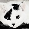 睦月 profil fotoğrafı