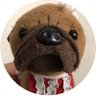 Korari Buru's profile picture