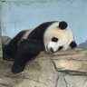 pɯqsʇl's profile picture