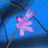 Фото профиля 姓空名色 智能佳控