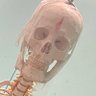 Dbcooper's profile picture