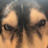Diana's profile picture