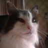 IsNiUg's profile picture