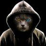 Gus daro profil fotoğrafı