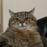 Profilbild von Womanizer_69 - Highscore: 11 Orgasmen / Stunde