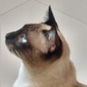 Фото профиля Saulo.Bio