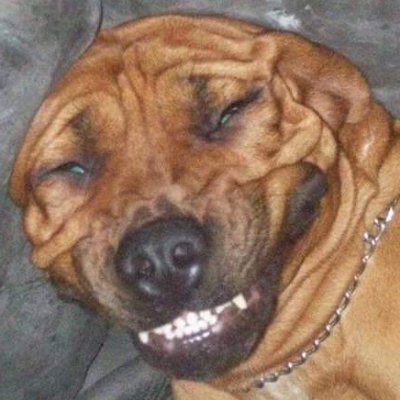chooch skookum's profile picture