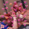 w puroresu's profile picture