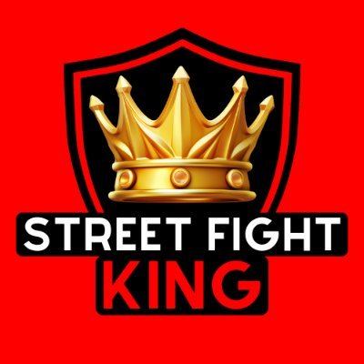 STFightKing's profile picture