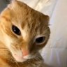 what??'s profile picture