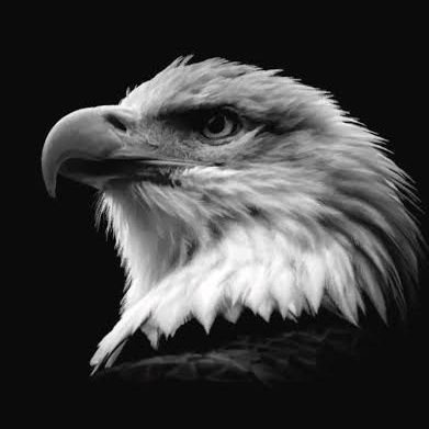 爪卂卄丂ㄩ爪's profile picture