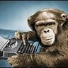 Profilbild von Monkey Shakespeare