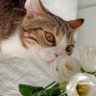 Ольга Мариновская profil fotoğrafı