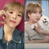💙💛樂樂🐹🐣 profil fotoğrafı