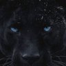 Teo's profile picture