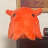 じん🐙's profile picture