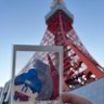 めっしー (と・てノ)'s profile picture