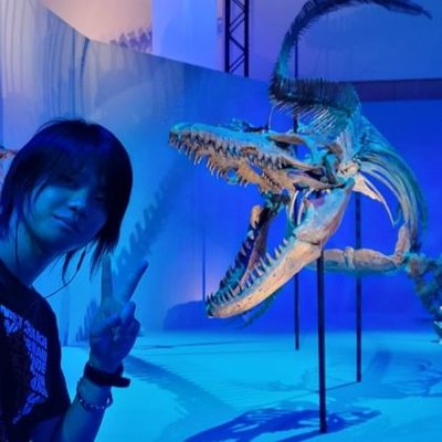 akitoshinoaca's profile picture