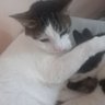 Ro profil fotoğrafı