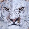 Олександр's profile picture
