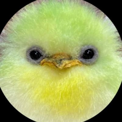 piyorizan's profile picture