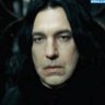 Serverus Praediorum 's profile picture