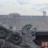 Nobody 的头像