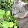 Фото профиля アルなお