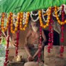 Ashu Pandey's profile picture