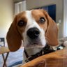 Profilbild von David H