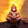 Krishna 的头像