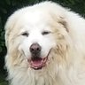 Profilbild von YahMule