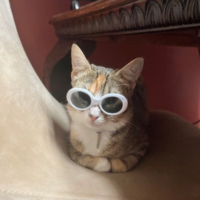 pomelohexagonal's profile picture