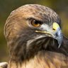 karem profil fotoğrafı