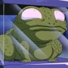 spacetoad's profile picture