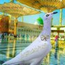 Фото профиля مودير