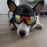 KeJi profil fotoğrafı