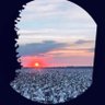 SipBoy profil fotoğrafı