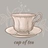 Profilbild von un gars une tasse