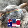 没有共产党，才有新中国 的头像