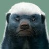 Badger's profile picture