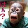 ドライⅢ 的头像