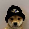 Profilbild von austin